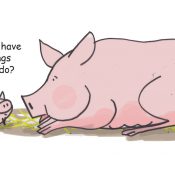 MP pigs cartoon