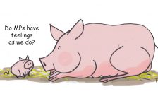 MP pigs cartoon