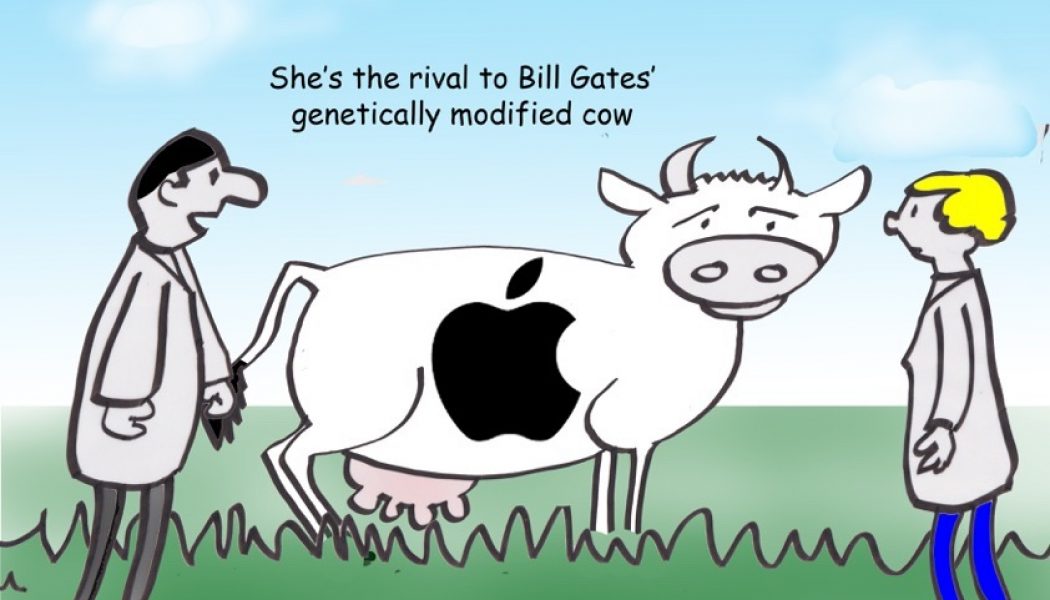 GM cow Cartoon