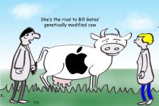 GM cow Cartoon