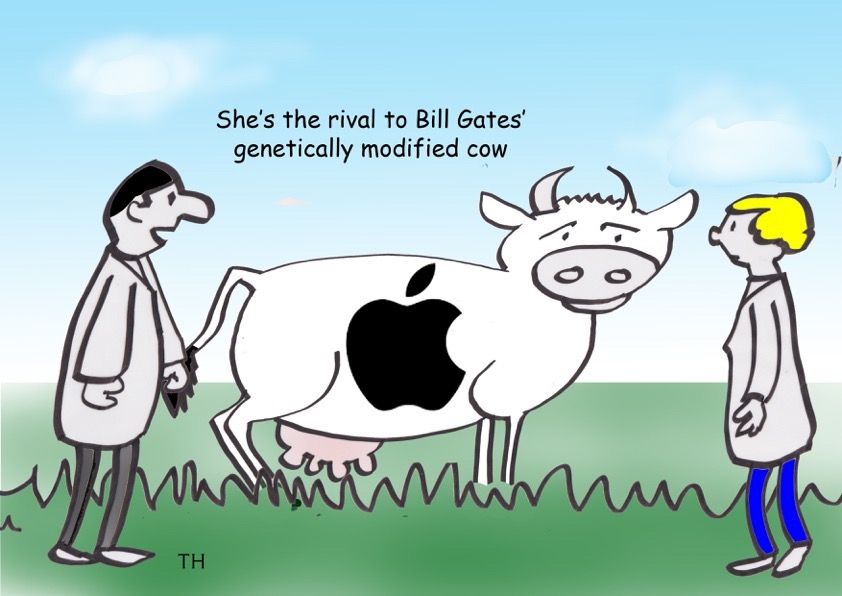 GM cow Cartoon