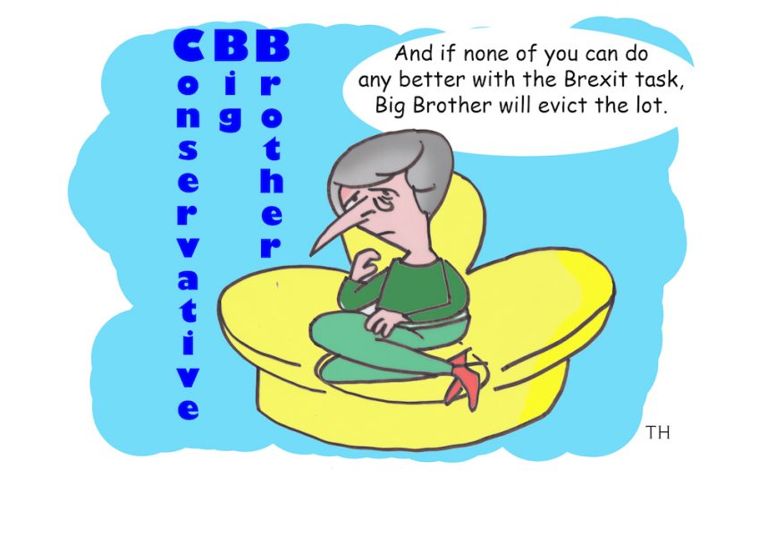 Big Brother cartoon