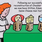 Cheddar man cartoon