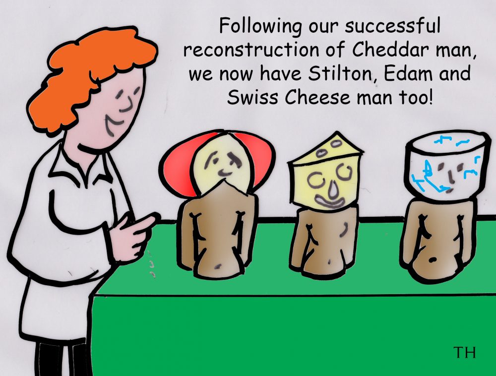 Cheddar man — Aestumanda Cheddar man — Aestumanda