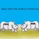 rhino extinction cartoon