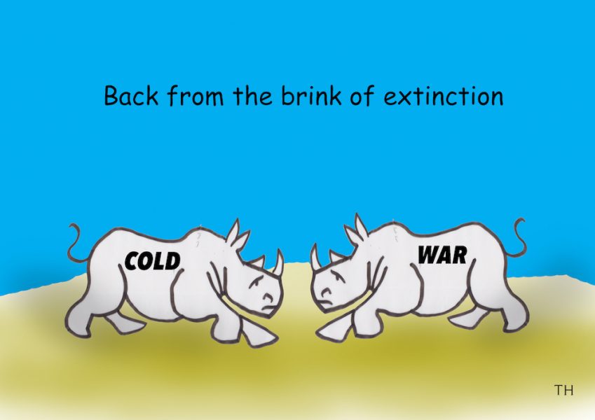 rhino extinction cartoon