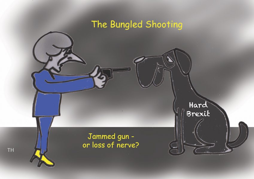 bungled Brexit cartoon