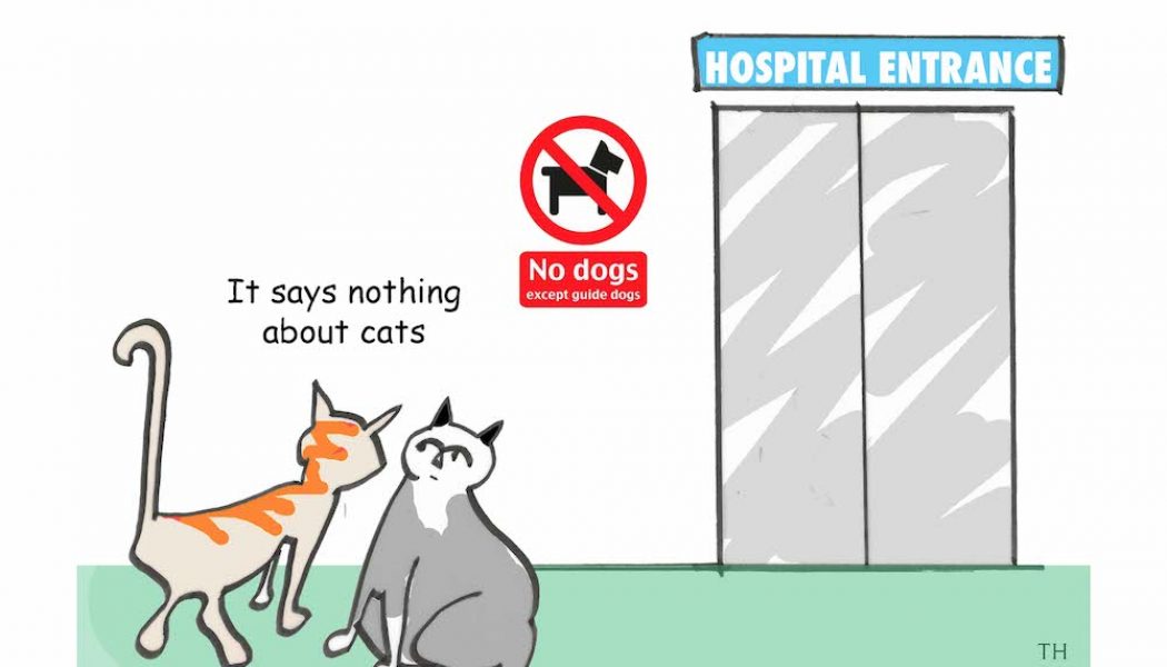 Cats hospital cartoon