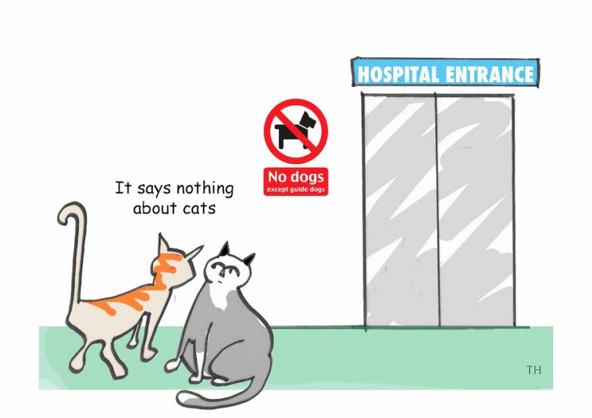 Cats hospital cartoon