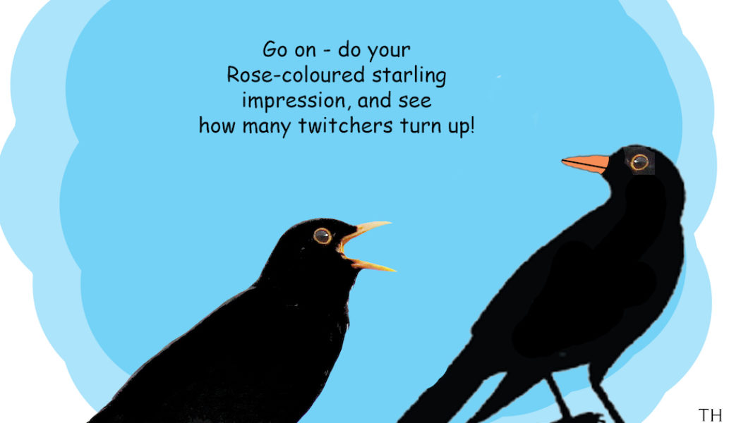 Twitchers cartoon