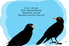 Twitchers cartoon