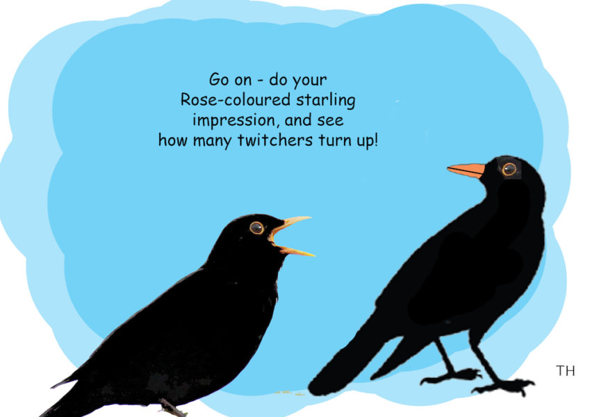 Twitchers cartoon