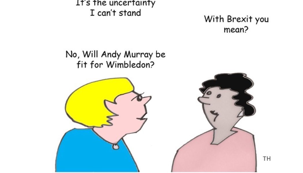 Andy Murray Brexit cartoon