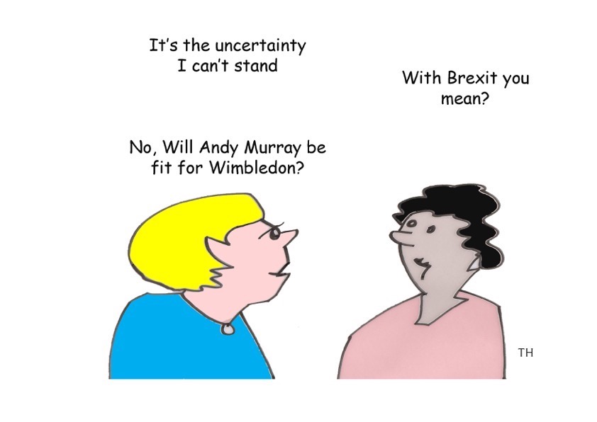 Andy Murray Brexit cartoon