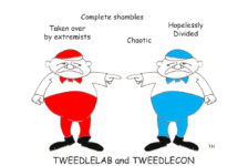 tweedle cartoon