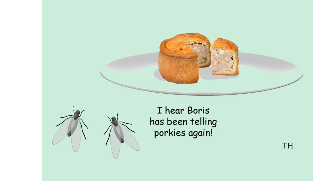 porkies