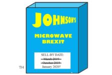 Microwave Brexit cartoon