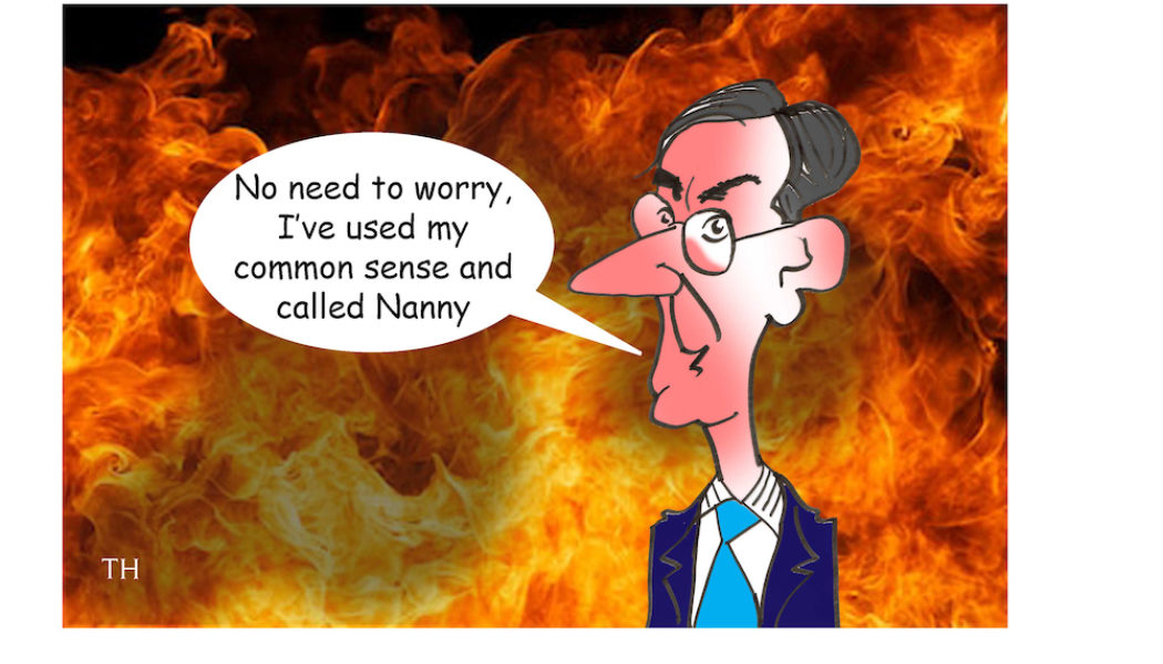 Jacob Rees mogg cartoon