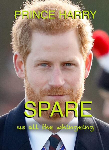 Prince Harry cartoon Spare book