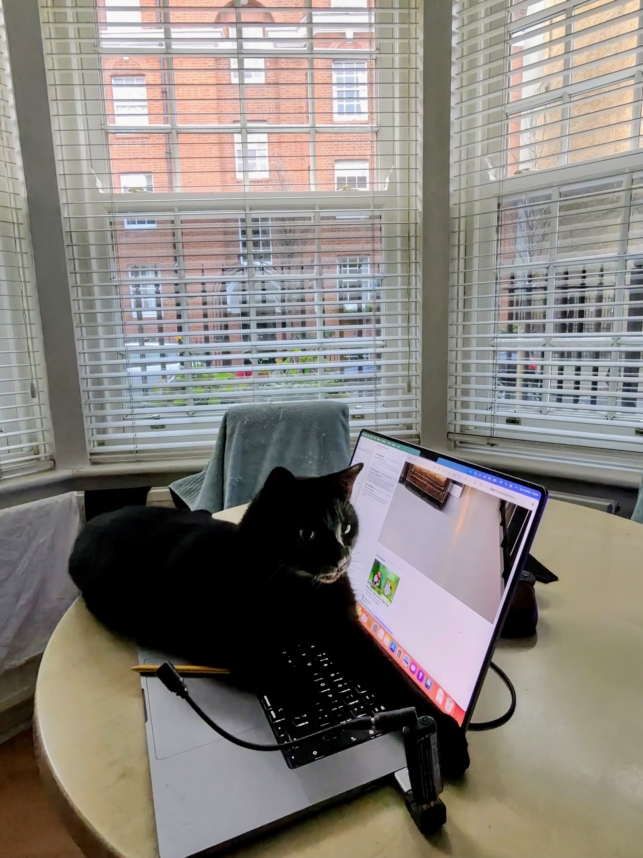 Photo of a black cat on a laptop keyboard shot with Ray-Ban Meta smart glasses 