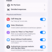 Mock-up of the Meta AI app Accessibility screen for Ray-Ban Meta smart glasses, showing a proposed Physical and motor section with voice-based controls including call hang up, voice shortcuts, wake word settings, reply without confirmation, and authenticated message readouts for disabled people.
